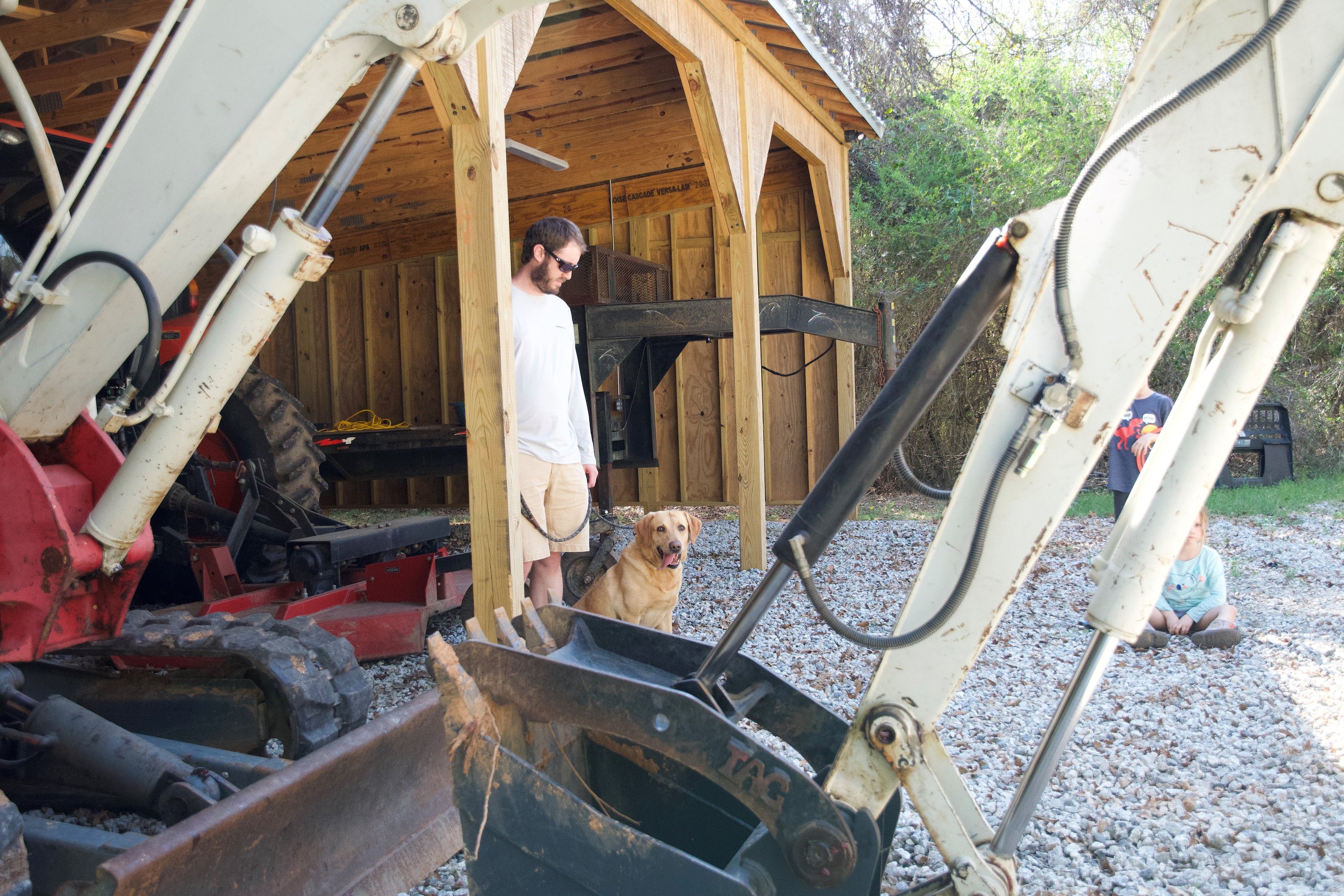 Farm Dogs: Introducing your pup to life on the farm